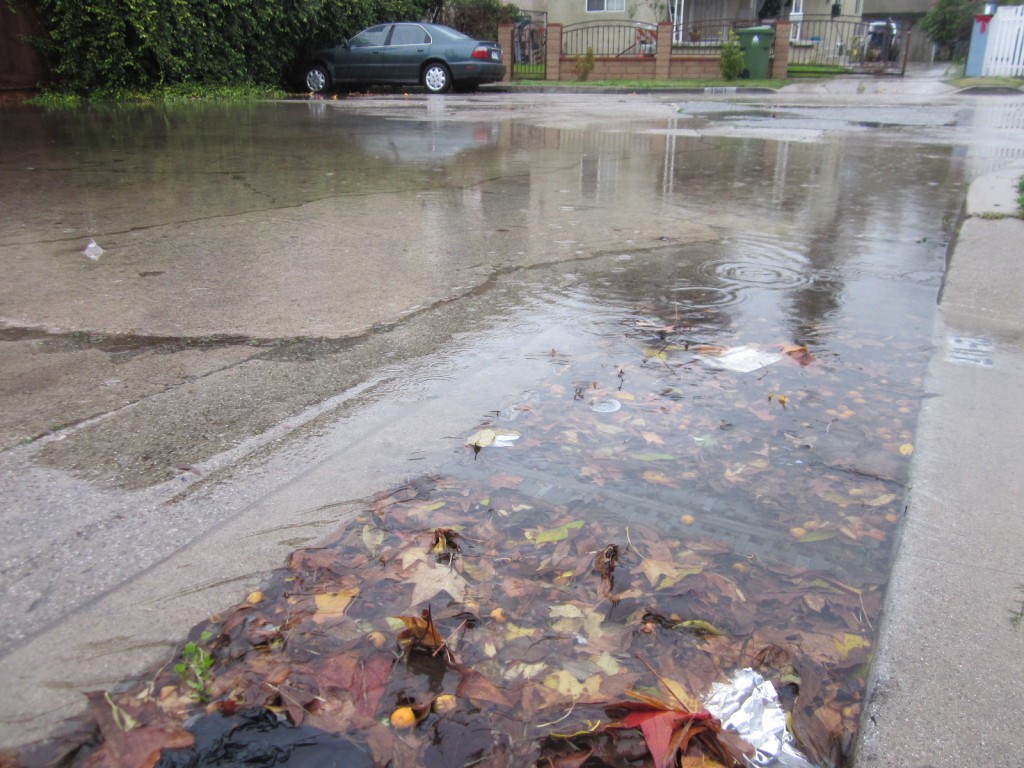 Chemical oxygen demand in water due to leaves clogging a drain